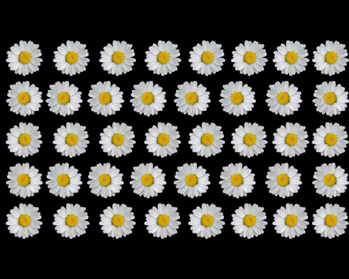We can change depth on a single row